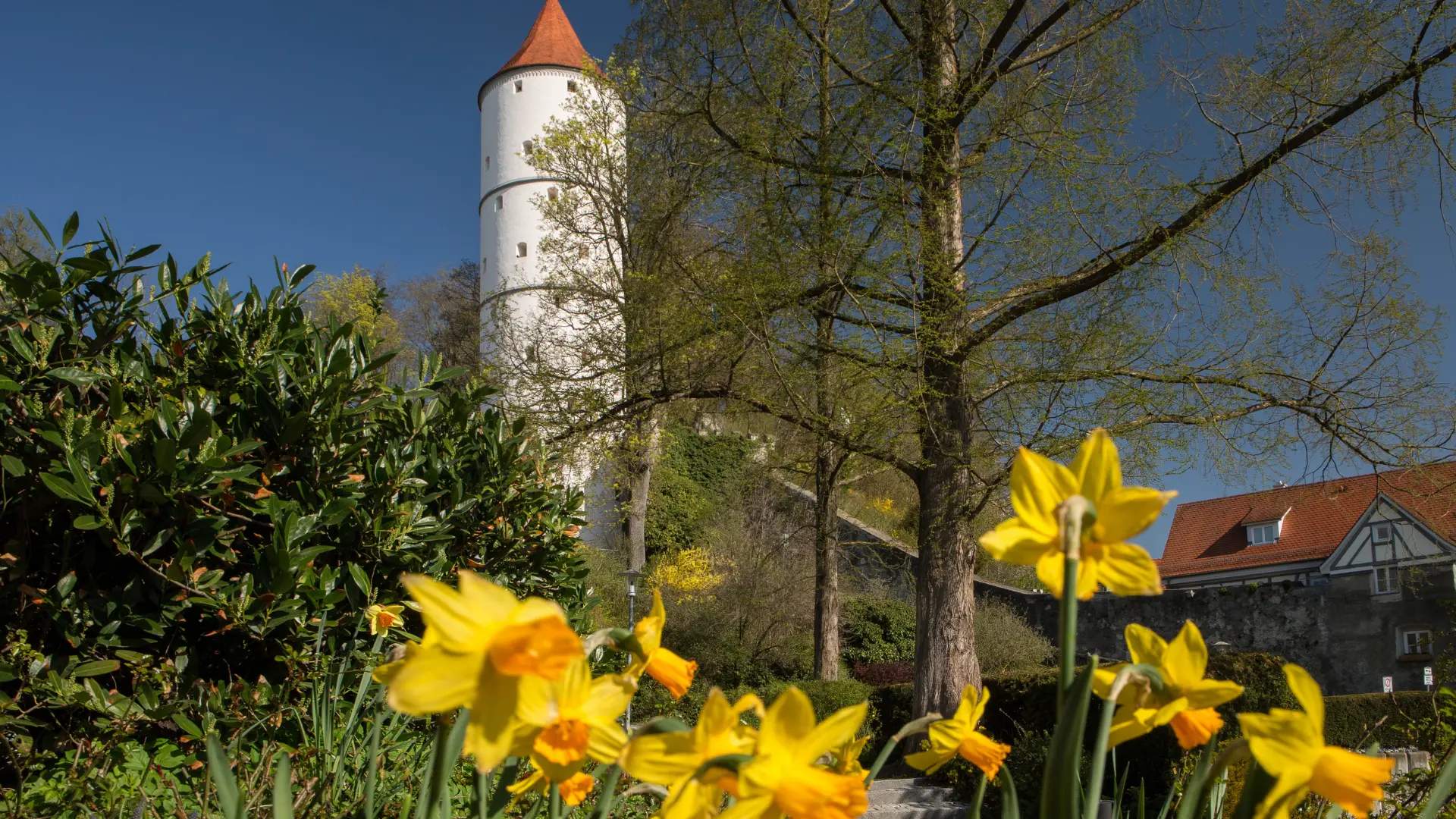 JAB Biberach Frühling
