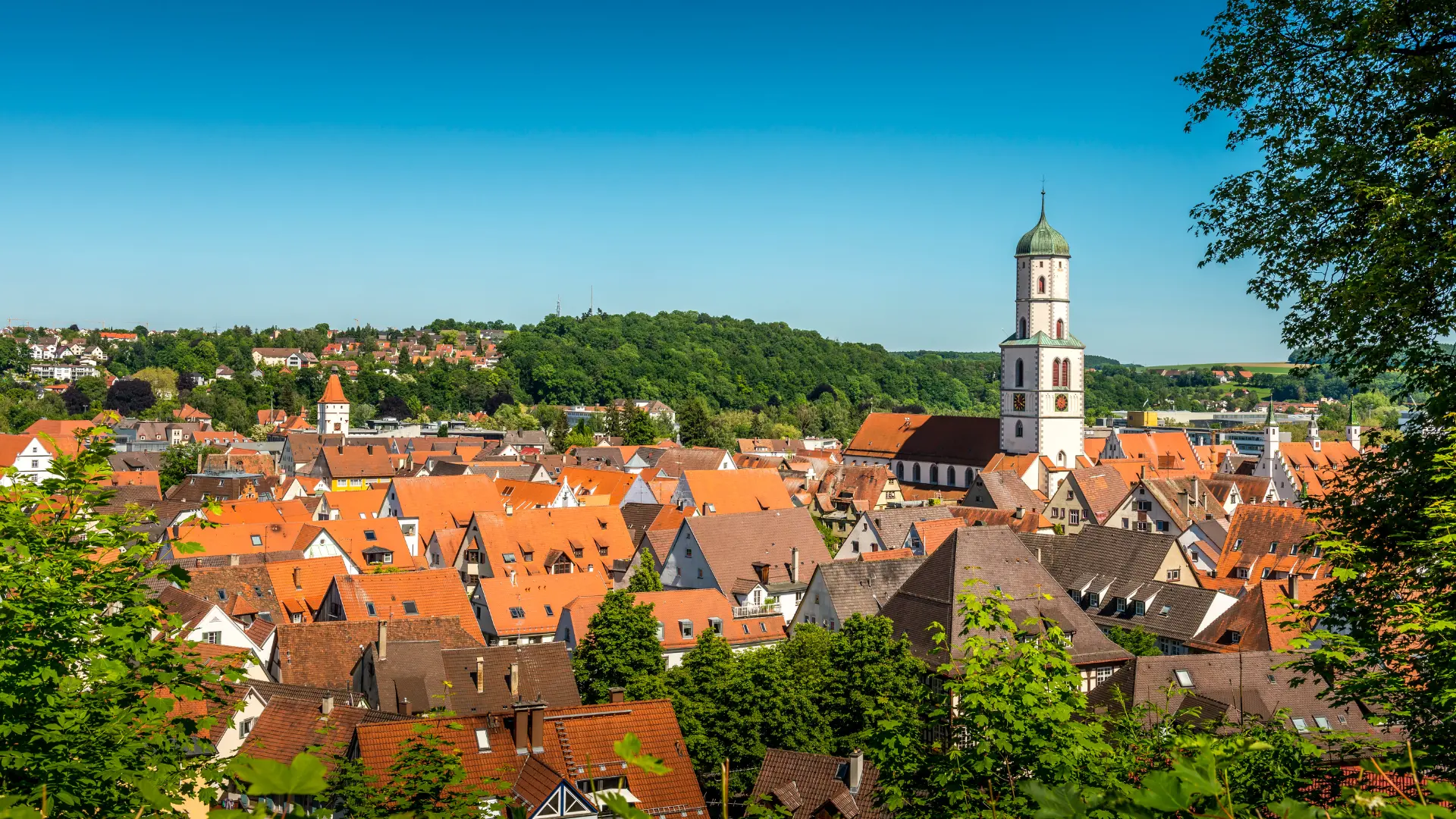 JAB Biberach Sommer