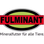 Fulminant GmbH