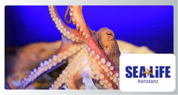 Sea Life Konstanz