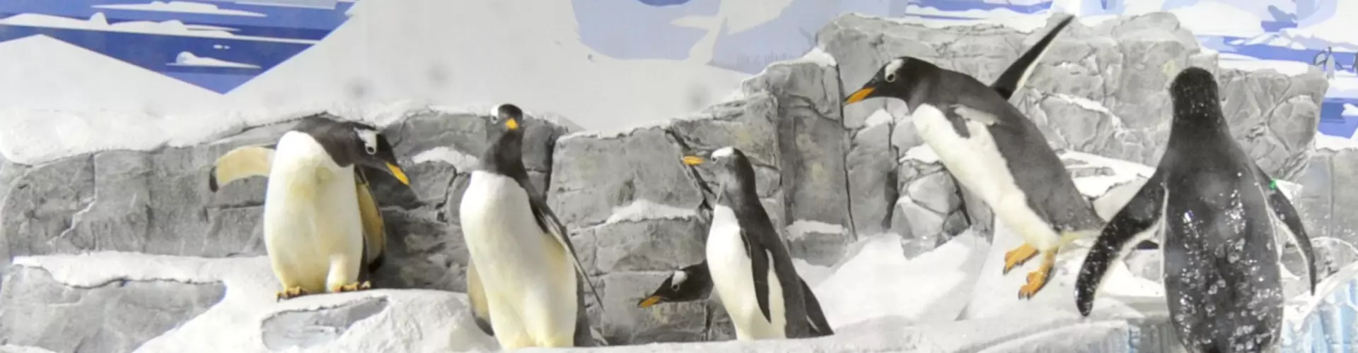 SEA LIFE Konstanz GmbH cover