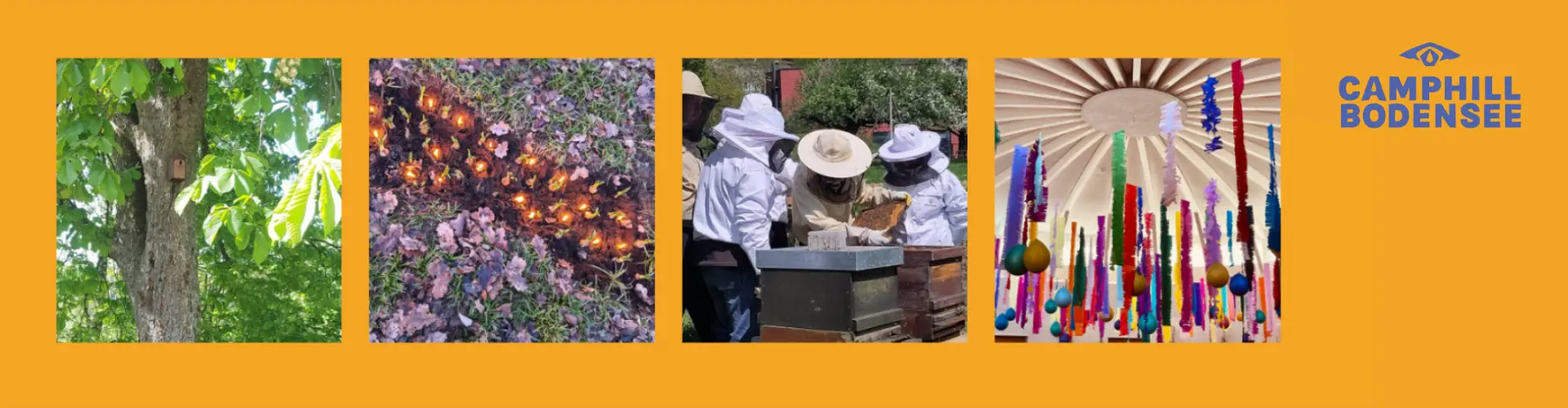 Camphill Bodensee e. V. cover