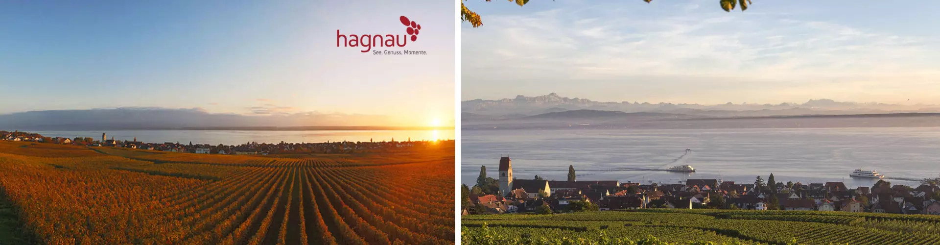 Gemeinde Hagnau cover