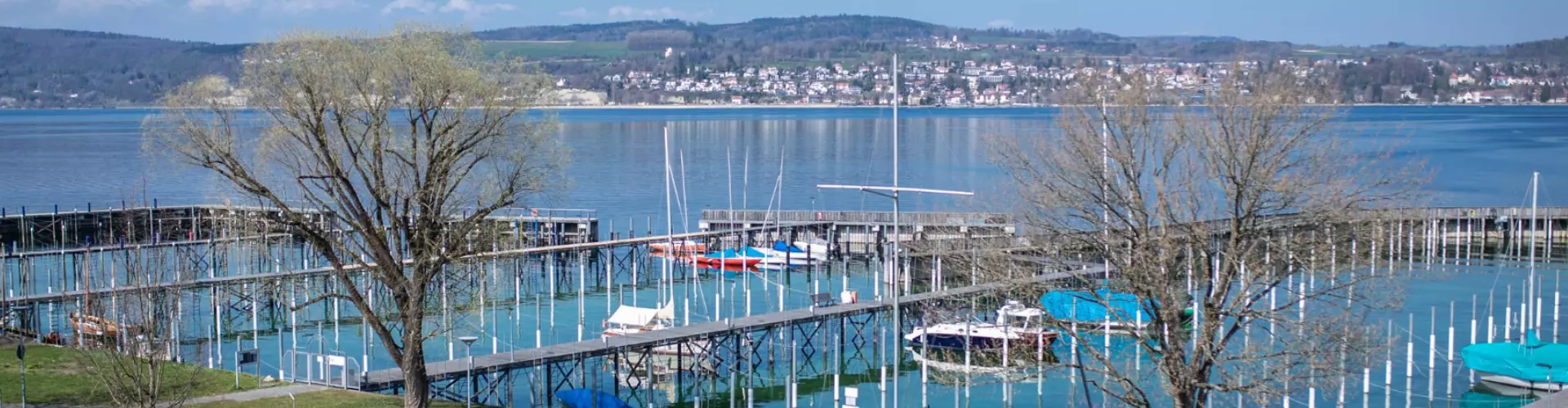 Hotel Restaurant Landhotel Bodensee cover