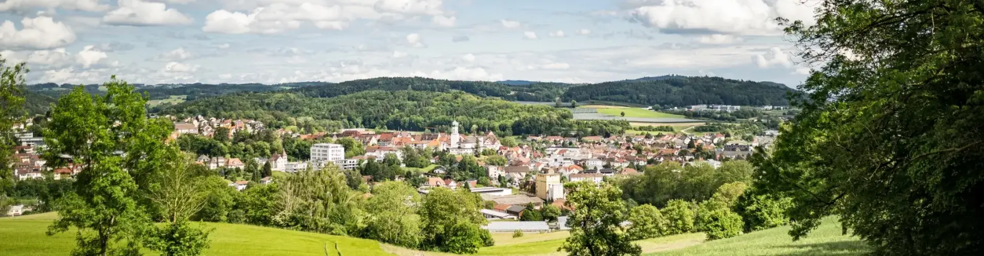 Stadt Stockach cover